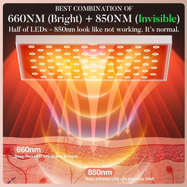 S329edba39194463f977d48b1f58978a7p.png